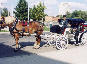 Image-12.jpg