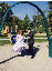 Image-20.jpg